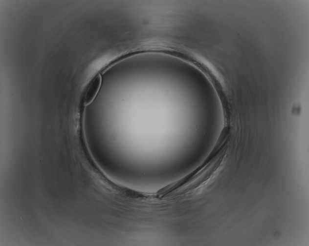 X0000094911461200711291244