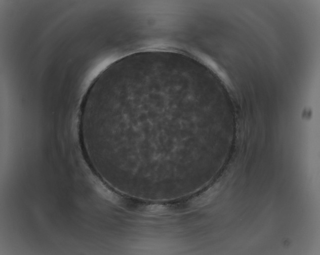 X0000094911463200711291244