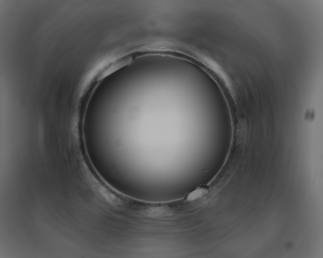 X0000094911464200711291244
