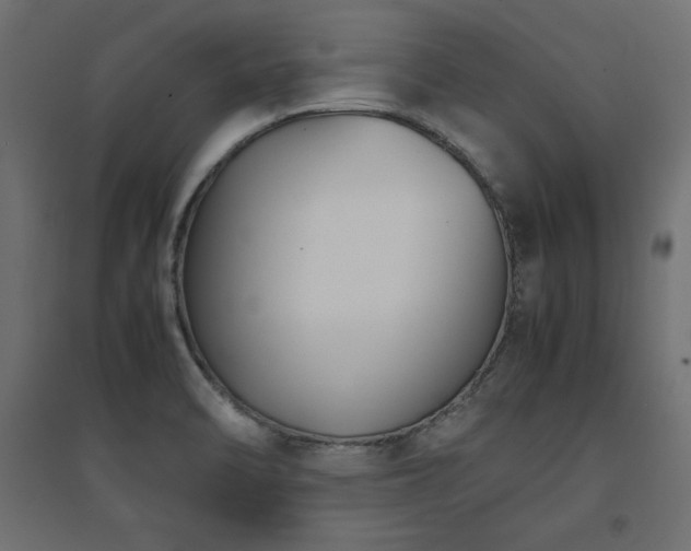 X0000094911470200711291244