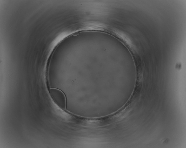 X0000094911471200711291244