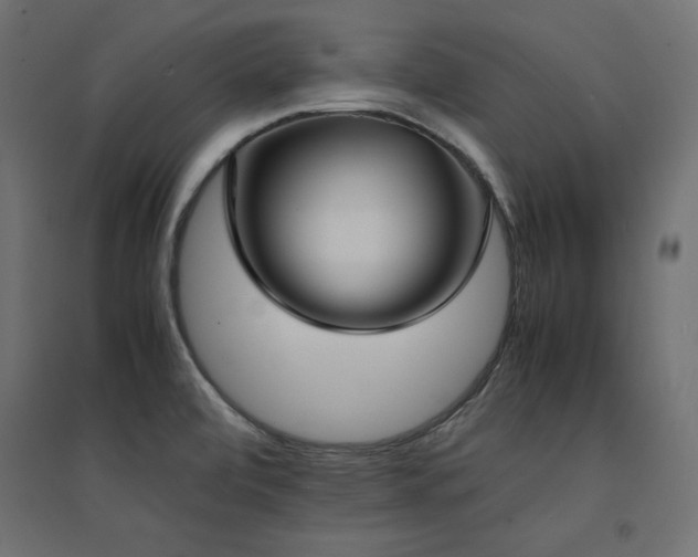 X0000094911472200711291244