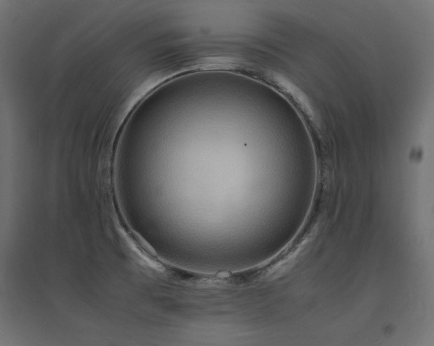 X0000094911473200711291244
