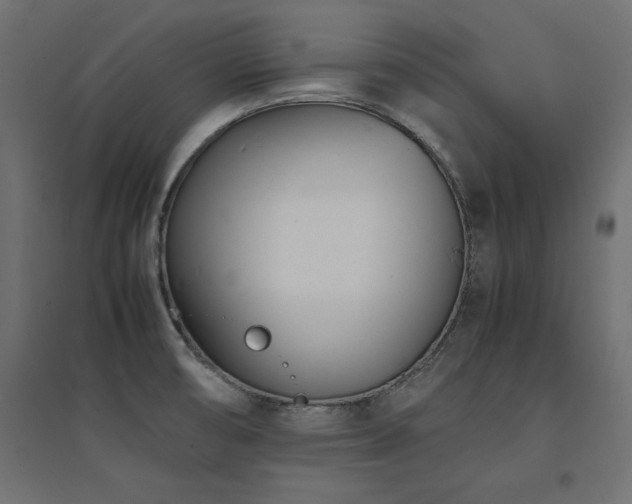 X0000094911474200711291244