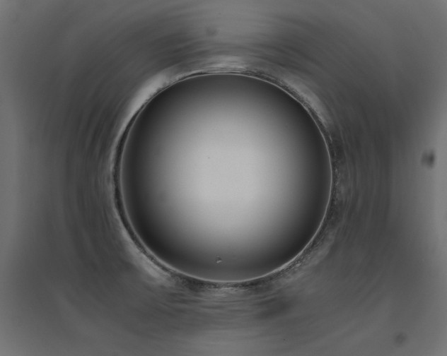 X0000094911475200711291244