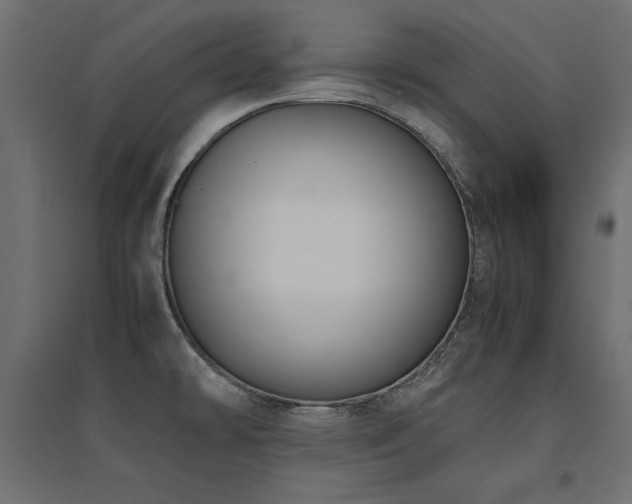 X0000094911478200711291244