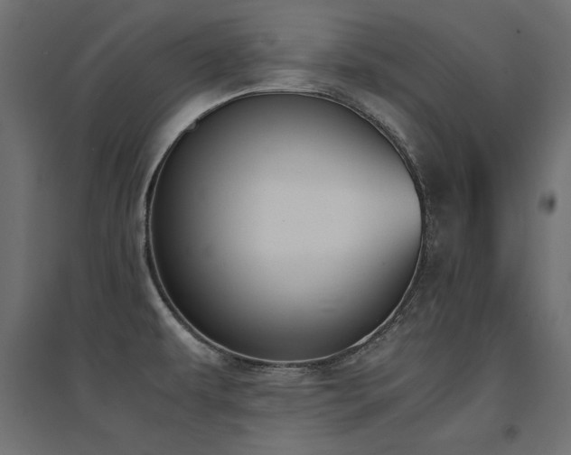 X0000094911479200711291244