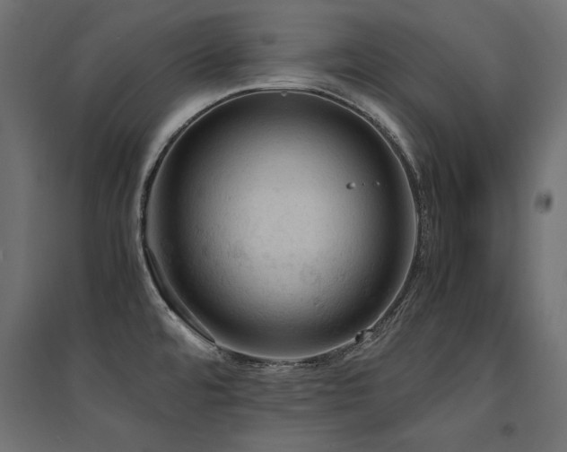 X0000094911480200711291244