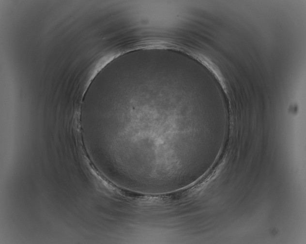 X0000094911481200711291244