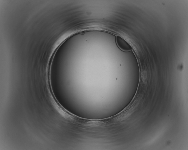 X0000094911482200711291244