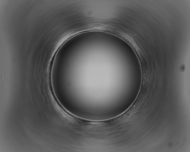 X0000094911483200711291244