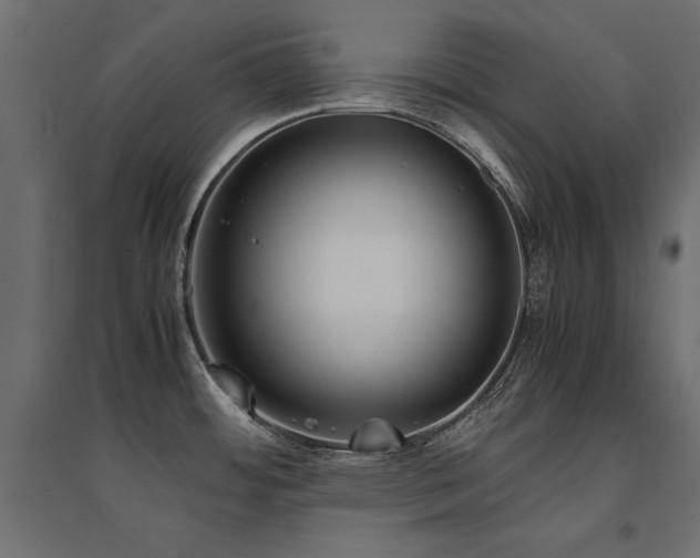 X0000094911484200711291244