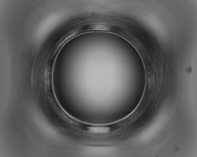 X0000094911487200711291244