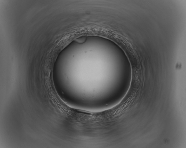 X0000094911489200711291243