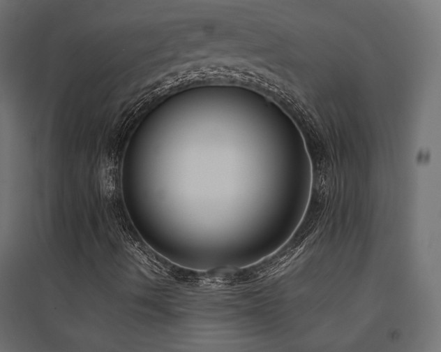 X0000094911490200711291243