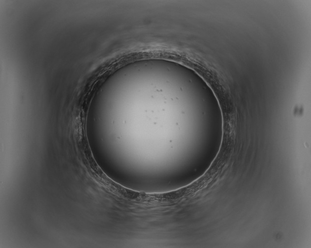 X0000094911493200711291243