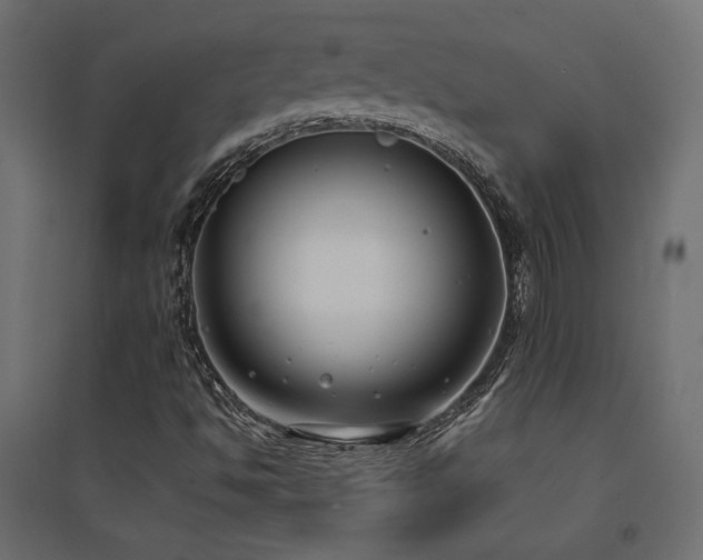 X0000094911494200711291243