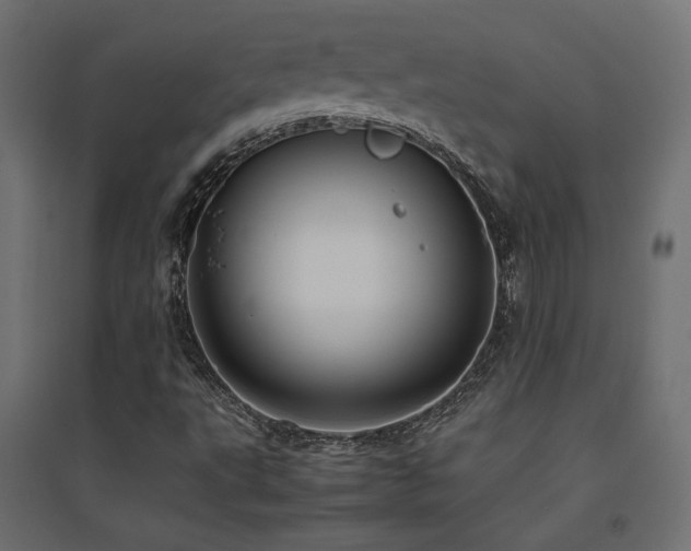 X0000094911495200711291243