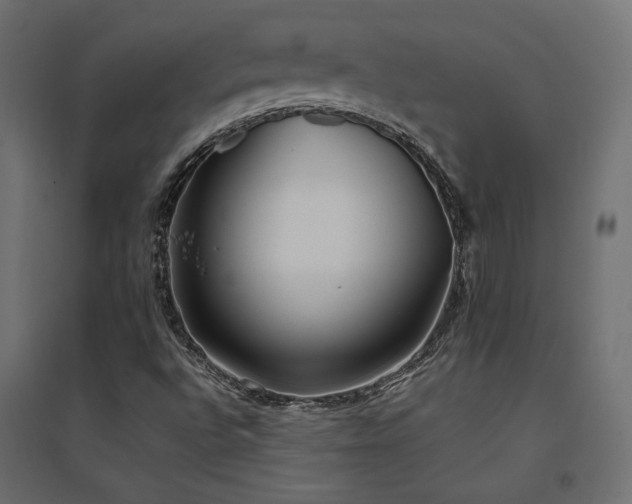 X0000094911496200711291243