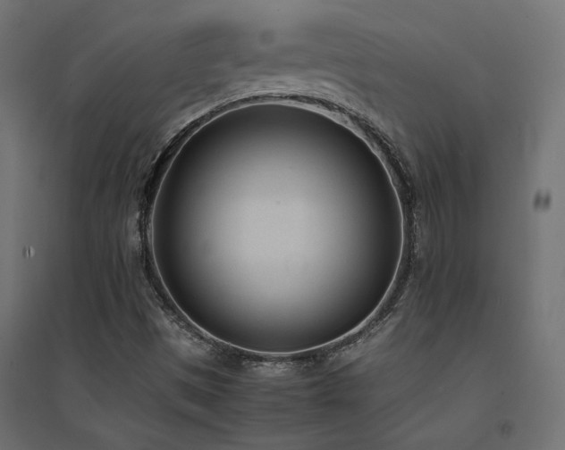 X0000094911497200711291243