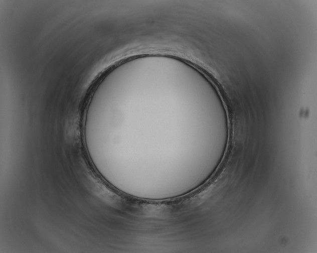 X0000094911498200711291243