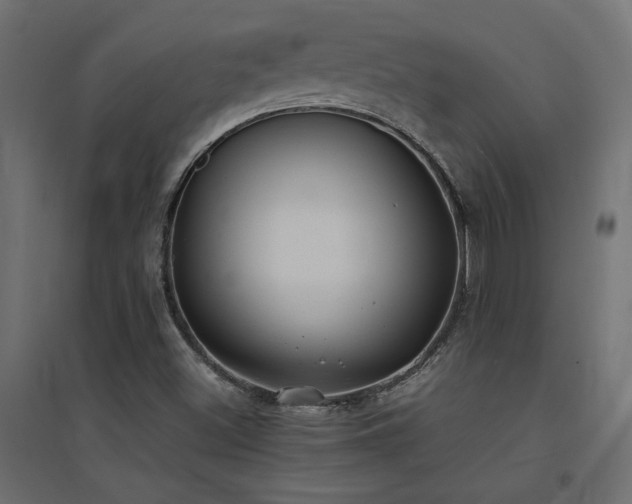 X0000094911500200711291243