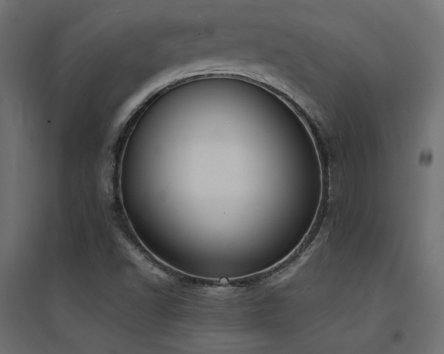 X0000094911502200711291243