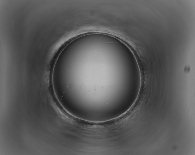 X0000094911503200711291243