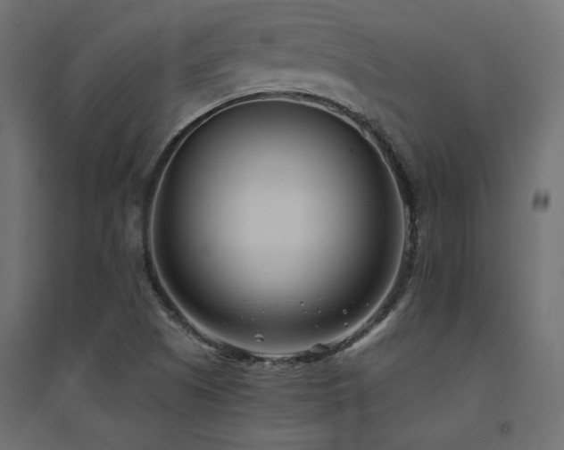 X0000094911505200711291243