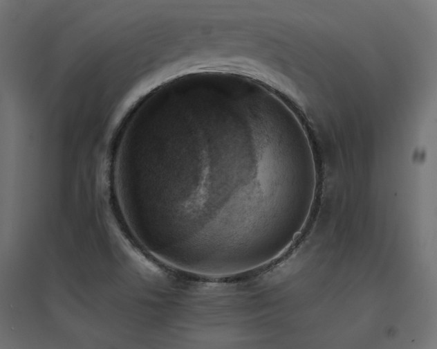X0000094911506200711291243