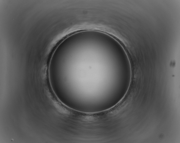 X0000094911507200711291243