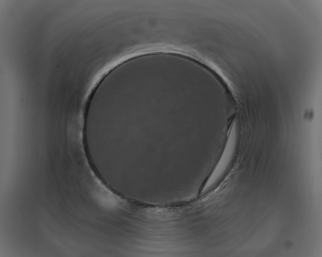 X0000094911508200711291243