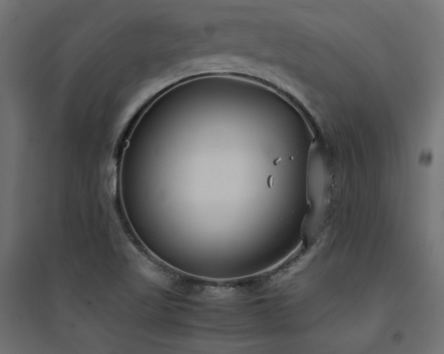 X0000094911509200711291243