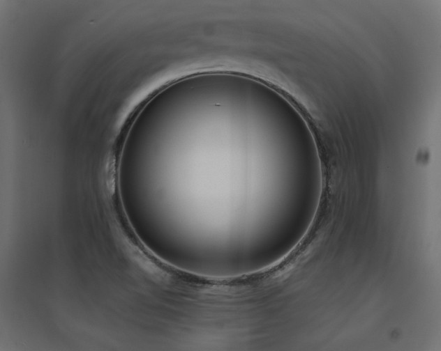 X0000094911510200711291243