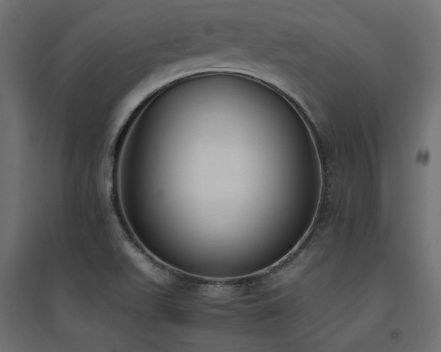 X0000094911511200711291243