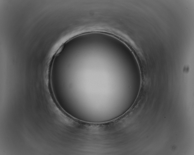 X0000094911512200711291243