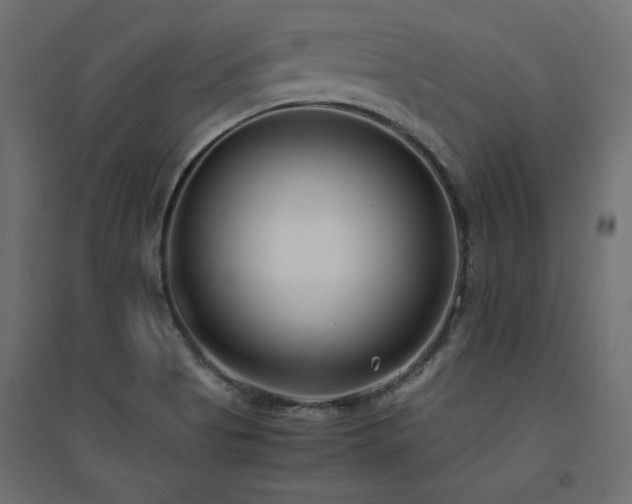 X0000094911513200711291243