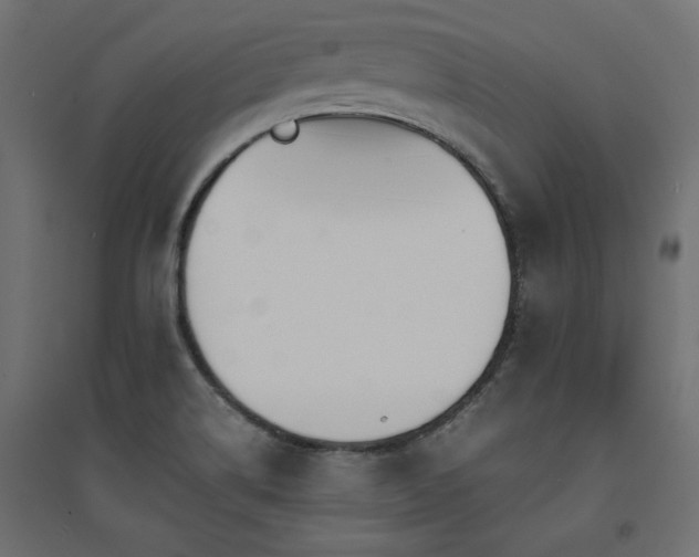 X0000094911514200711291243