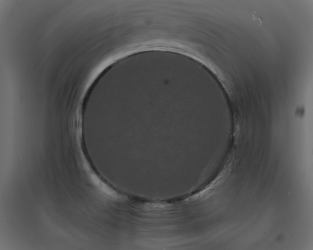 X0000094911515200711291243
