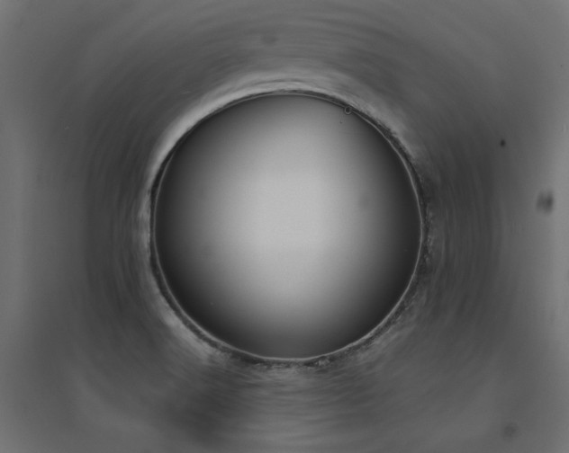 X0000094911516200711291243