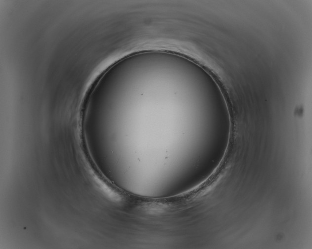 X0000094911517200711291243