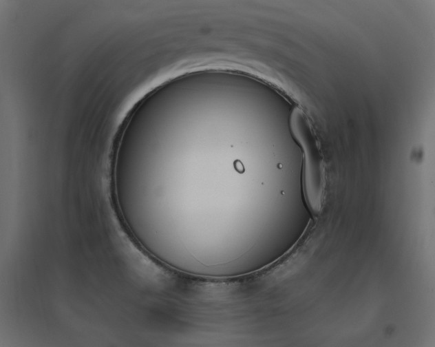 X0000094911518200711291243