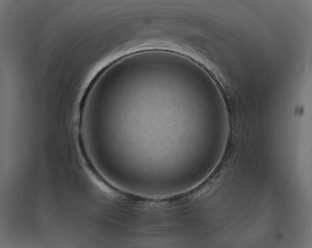 X0000094911519200711291244