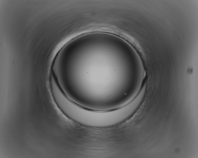 X0000094911520200711291244