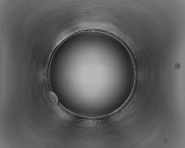 X0000094911521200711291244