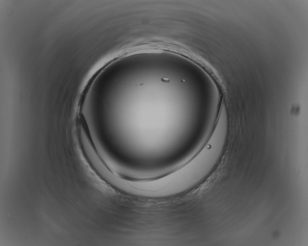 X0000094911522200711291244