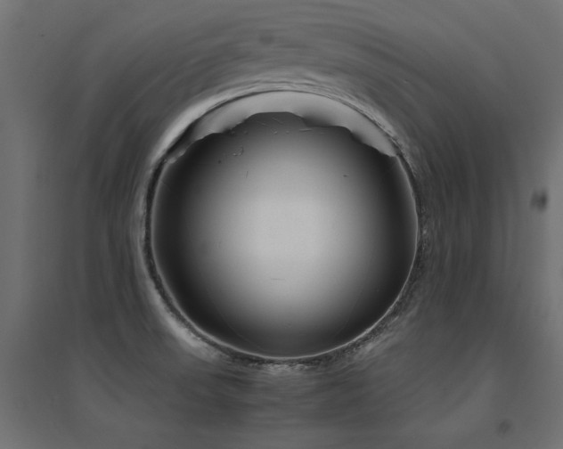 X0000094911523200711291244