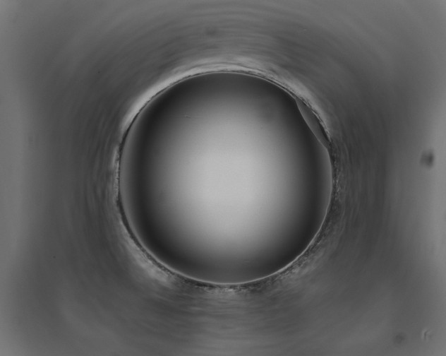 X0000094911524200711291244