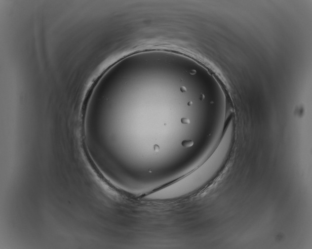 X0000094911525200711291244