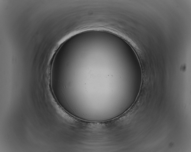 X0000094911526200711291244